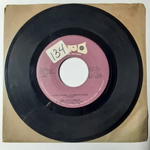 Jon-Wite Group - Theme From A Summer Place / Honey Child 7" Record 1975 Cenpro - Picture 1 of 2