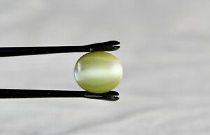 Natural Chrysoberyl Cat's Eye Cabochon 6.10 Cts loose Gemstone For Ring Pendant