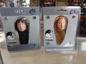 1:6 Triad Toys ZWEI weibliche Kopf Skulptur für 12" Figuren 🐉 ANSEHEN KOSTENLOSER VERSAND 🐉  - Bild 1 von 5