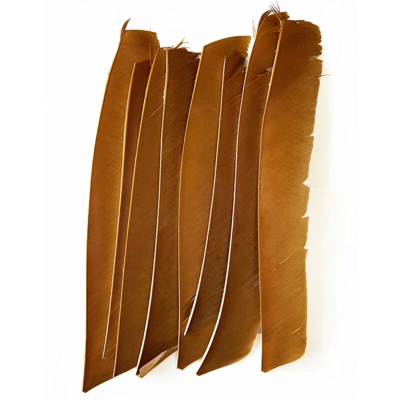 50X Full Length Arrow Feathers Turkey Fletches Archery DIY Right Left Wings - Image 1 of 4
