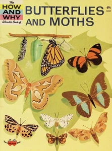 1974 How And Why Wonder Book Butterflies And Moths Ronald N Rood 5037 PB - Imagen 1 de 3