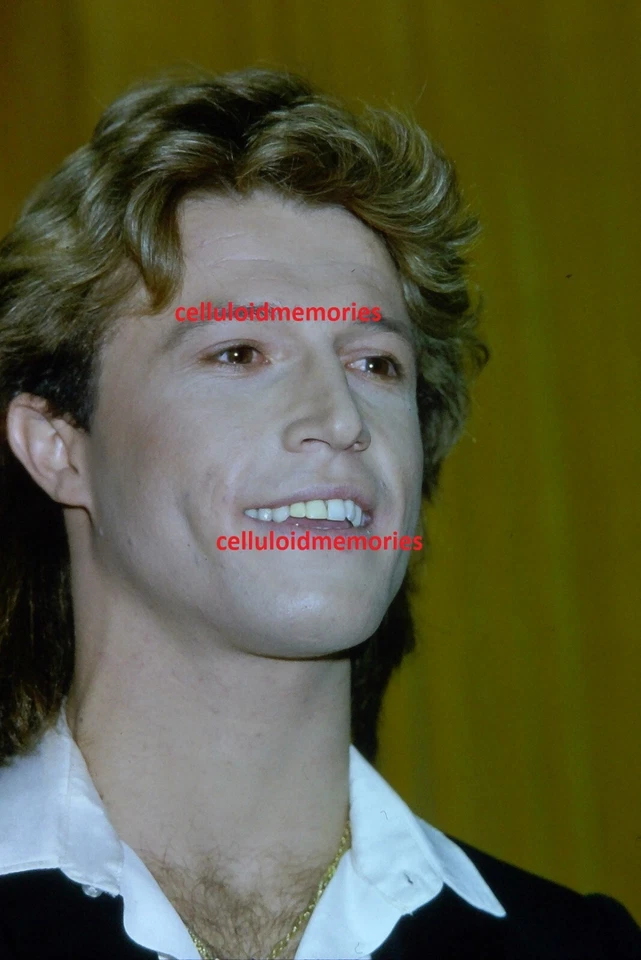 Original 35mm Slide Andy Gibb # 9 - Image 1 of 1