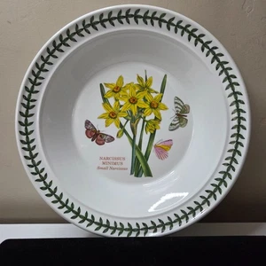 Portmeirion Botanischer Garten um 1818 Suppenschüssel - Bild 1 von 4