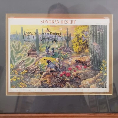 Souvenir Sheet Stamps First Day Of Issue SONORAN DESERT NATURE OF AMERICA Framed - Image 1 of 4