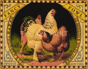 Fancy Fowl and Royal Rooster Set of 2 Miles Graff 16x20 in - Picture 1 of 2