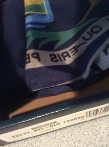 Michigan Flag 2x3ft Michigan State Flag 2' x 3' New in Box Annin Nylon-Glo - Picture 1 of 3