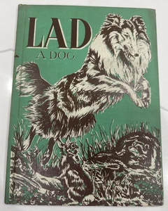 Vintage 1953 LAD a Dog Hardcover, ehemaliges Bibliotheksbuch, zeigt Gebrauchsspuren Box 4 - Bild 1 von 9