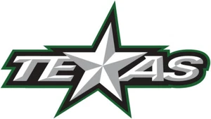 Calcomanía Texas Stars AHL ~ vinilo - Imagen 1 de 1