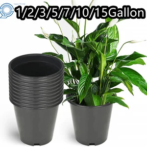 Duty Heavy Large Premium Plant Pot 1/2/3/5/7/10/15 Gallon Plastic Nursery Pots - Picture 1 of 31