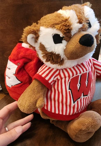 Bucky Badger Plush University of Wisconsin Team Mascot BUCKY Football reversible Cover