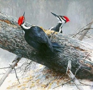 Robert Bateman Woodworkers Pileated Woodpeckers - Picture 1 of 1