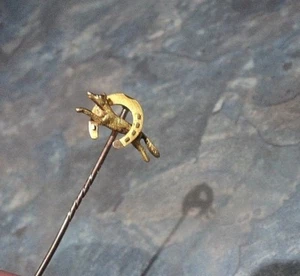 Atractivo prendedor/broche de palo de oro de 15 quilates c.1910 para correr zorro y herradura/caza - Imagen 1 de 6