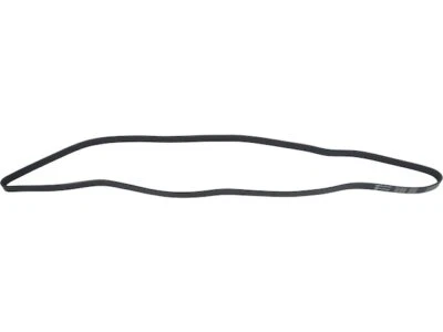 For 1999-2002 Buick Regal Multi Rib Belt API 75699FV — 第 1/2 张图片