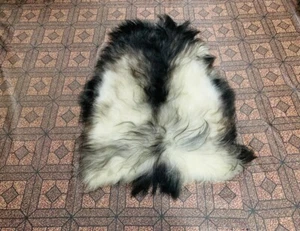 Real Icelandic Sheepskin Rug Rare Breed Limited Edition Exotic Tones Fur Rug 2x3 - Picture 1 of 5