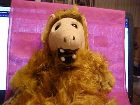 ALF 1986 Plush Coleco Alien Productions 18" Doll Vintage Stuffed Creature TV Cover