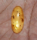 11.65 Cts. Natural Genuine Old Baltic Amber Untreated Certified Gemstone