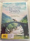 ALBION THE ENCHANTED STALLION - Avery Arendes/STEPHEN DORFF NEW - *FREE STD POST