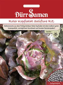 Roter Kopfsalat Soliflore RZ Kopfsalatsamen Samen von Dürr Samen ca 40 Korn - Bild 1 von 1