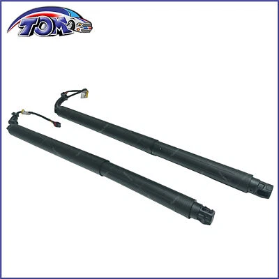 Pair Rear LH&RH Power Lift Cylinder Struts For 2015-2019 Nissan Murano 3.5L V6 Foto 1 de 4