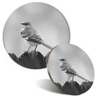 Mouse Mat & Coaster Set - BW - Northern Mockingbird Bird Birds  #41935
