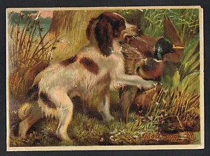 Perro de caza Retriever lleva pato ~ BUEN PERRO ~ Etiqueta victoriana ~ PERROS - Imagen 1 de 2