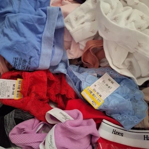 100 Stck. Großhandel Hanes Auden Wiederverkauf langes KONVOLUT Ziel Slips Tangas Damen - Bild 1 von 3