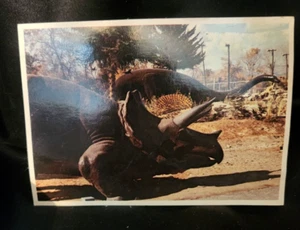 Cartolina Triceratopi, (sfondo) Giardini dinosauri Diplodoc, Vernale UT - Foto 1 di 2