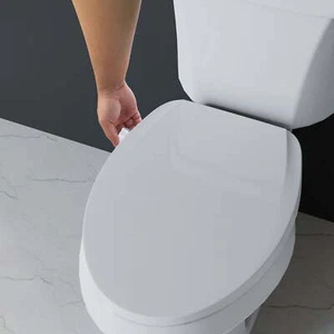 Elongated Non-Electric Bidet Toilet Seat with Dual Self-Cleaning Nozzles - Picture 1 of 3