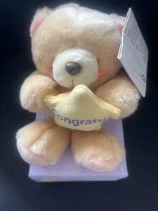 forever friends bear congrats small - Picture 1 of 4