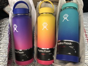 moana hydro flask for sale