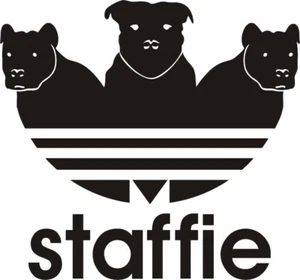 IRON ON / HEAT PRESS / (T-Shirt) Breast Logo / STAFFIE / PARODY DECAL / FUNNY - Picture 1 of 12