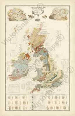 British Isles Britain geological palaeontological fossil map 1848 print poster - Изображение 1 из 4