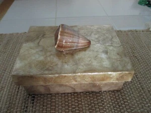 NEW-Nicole Miller 8" Jewelry Trinket Box Mother of Pearl w/Sea Shell Lid - Picture 1 of 3