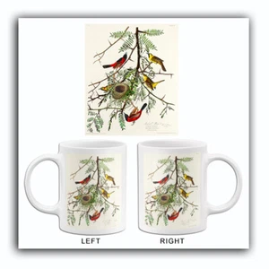 Orchard Oriole - 1827 - Illustration Tasse - Bild 1 von 3