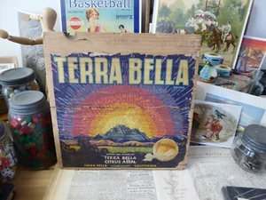 SELTEN + ORANGE KISTE BOX ENDE ETIKETT VINTAGE UM 1930 TERRA BELLA TULARE GRAFSCHAFT - Bild 1 von 2