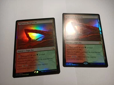 Sheltered Thicket x1 foil russian, NM-, AKH MTG - Image 1 of 4