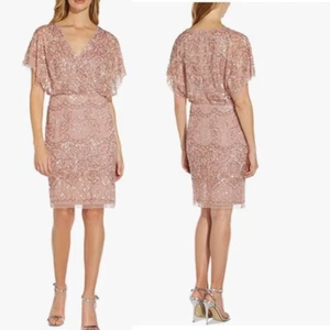 NWT Adrianna Papell Women's Beaded Mesh Blouson Dress Size: 6 - Picture 1 of 5