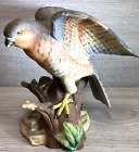Maruri Sparrow Hawk Porcelain Figurine Nice Example