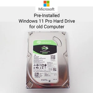 Disco duro HDD 3,5" de 1 TB-2 TB para PC de escritorio + Windows 11 Pro Legacy preinstalado - Imagen 1 de 10