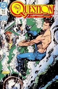 Question (Vol 1) The #  13 NM - Picture 1 of 1