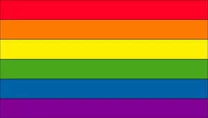 Traditional Gay Pride Rainbow Refrigerator Flag Magnet 3.5x2 Inch - Picture 1 of 1