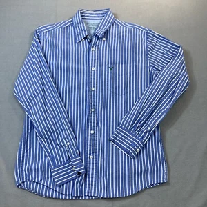 Camisa American Eagle Mediana Azul Rayas The Eagle Oxford Para Hombre - Imagen 1 de 13