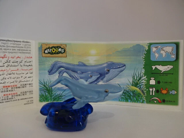 EU 2019 - DV-231 - Spaß im Wasser / Die Walfamilie + 05.2019 Anhang BPZ - Bild 1 von 1