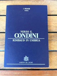 RIMBAUD IN UMBRIA, Nereo E Condini, Italian Poems, 1993, Soft, LN - Imagen 1 de 11