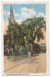 WASHINGTON ELM Garden Street Cambridge Massachusetts MA Postcard 1921 WB - Picture 1 of 2