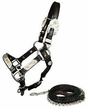 Showman Miniature Dark Oil Leather Showmanship Show Halter with Silver and Stars 