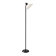 Adesso Home 3677-01 Transitional Light Floor Lamp from Swivel Collection