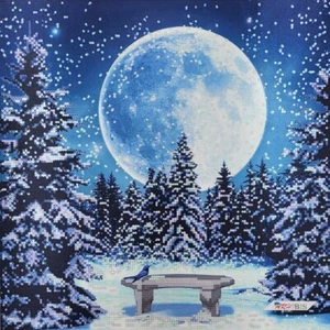 Moon Bead Embroidery Scheme on Canvas DIY Stamped Printed Pattern ta-441 - Picture 1 of 10