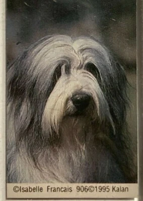 Бородатый колли? Брелок для ключей фотография собаки от Isabelle Francais новый из старых запасов - Изображение 1 из 4