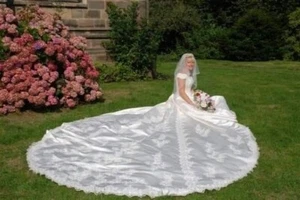 Stunning Wedding Dress Size 10 - Picture 1 of 16
